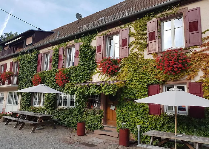 Hôtel du Haut Koenigsbourg - calme et nature