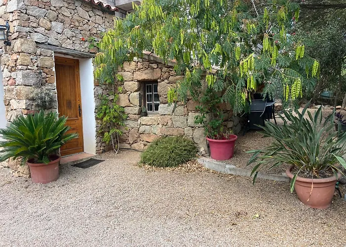 Caseddu Di Chjarastella Figari 