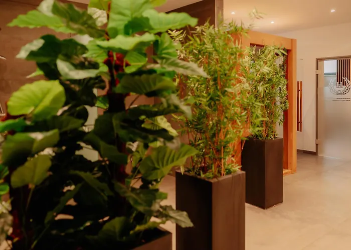 Hotels in Borken (North Rhine-Westphalia)