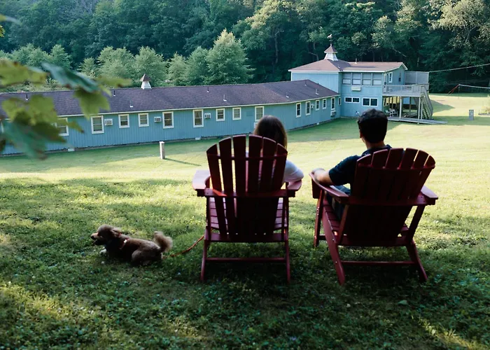 The Little Lion Motel Great Barrington
