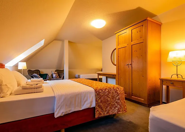 Apparthotel Bad Schandau By Steiger Hotels