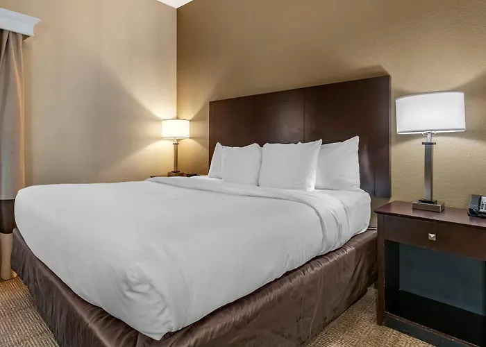Comfort Inn & Suites Deland - Near University