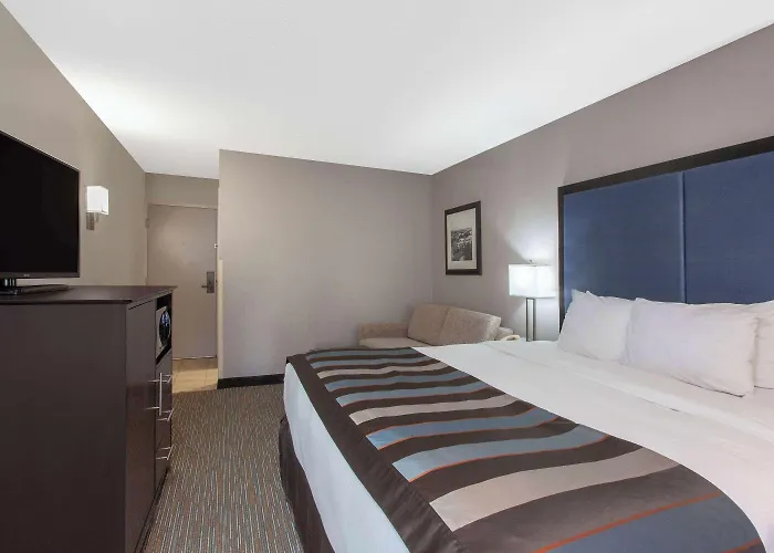 Wingate By Wyndham Charleston Coliseum Hotel North Charleston