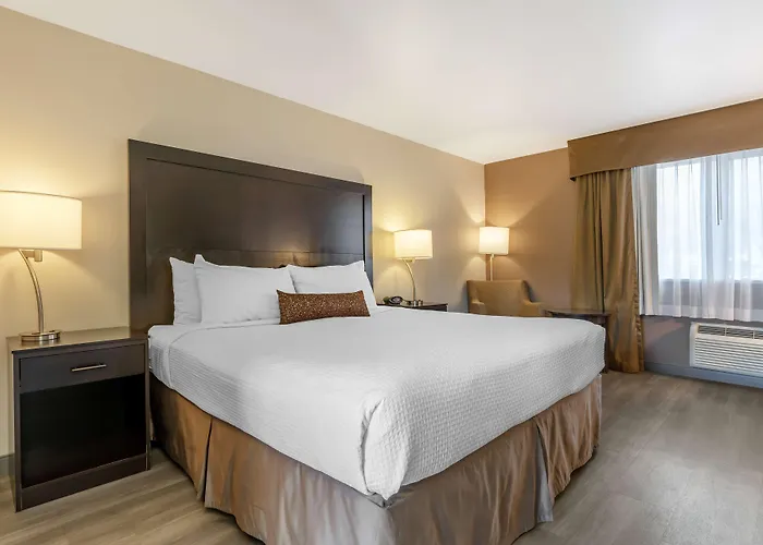 Best Western Inn Of Vancouver