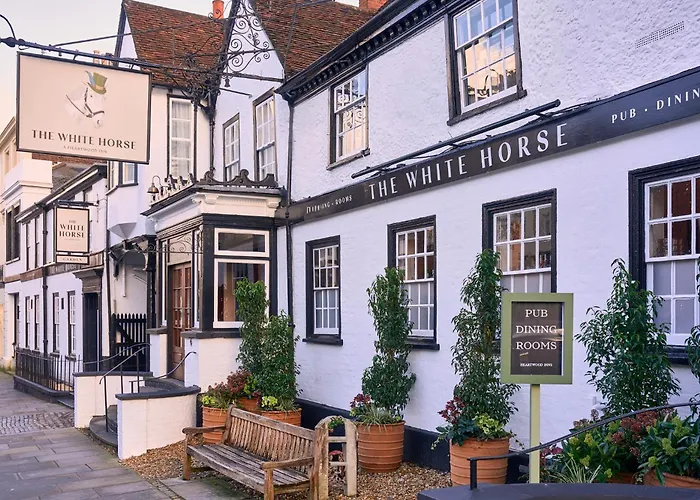 Dorking Hotels