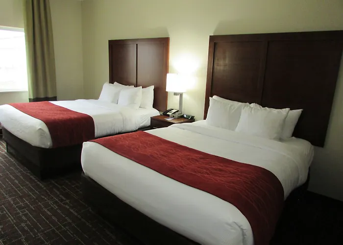 Comfort Inn Wichita Falls Near University