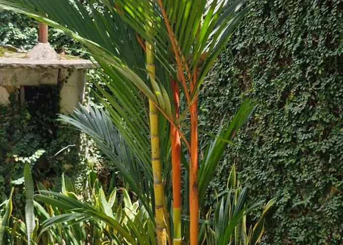 Ecopousada Miriti Belém