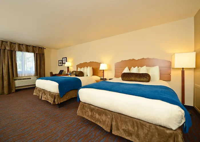 Moose Hotels