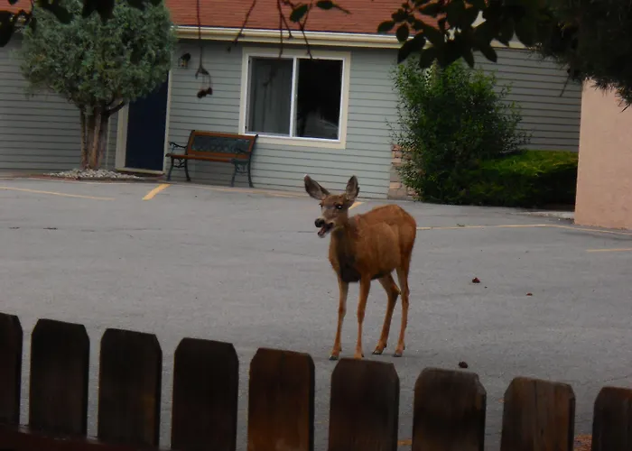 Salida Inn & Monarch Suites