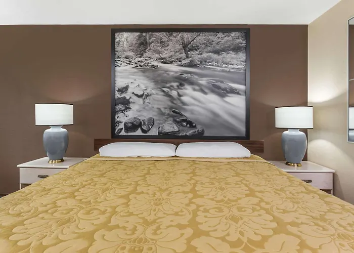 Shelton Hotels