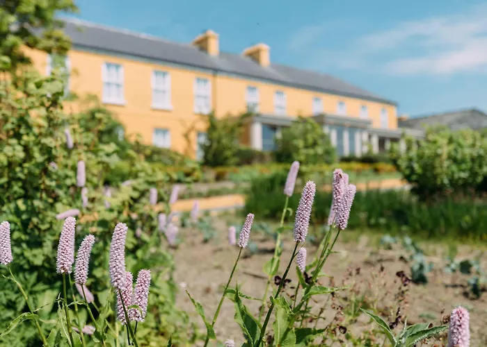 Lisdoonvarna Hotels