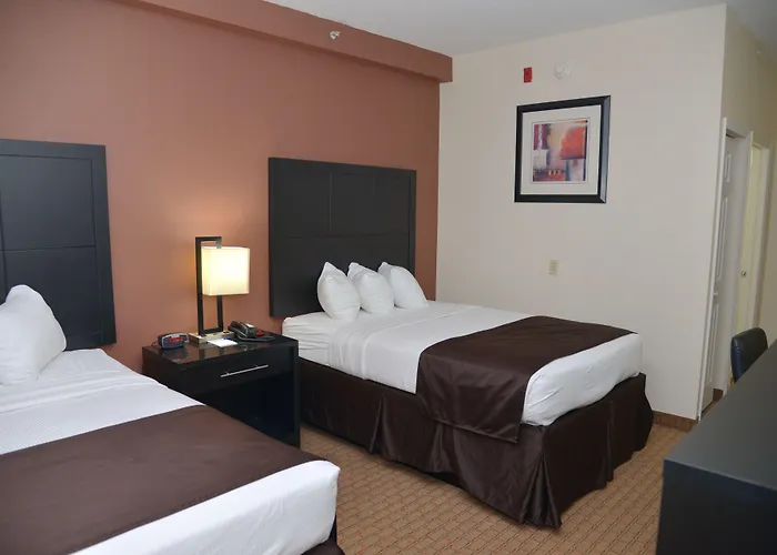 Mulberry Hotels