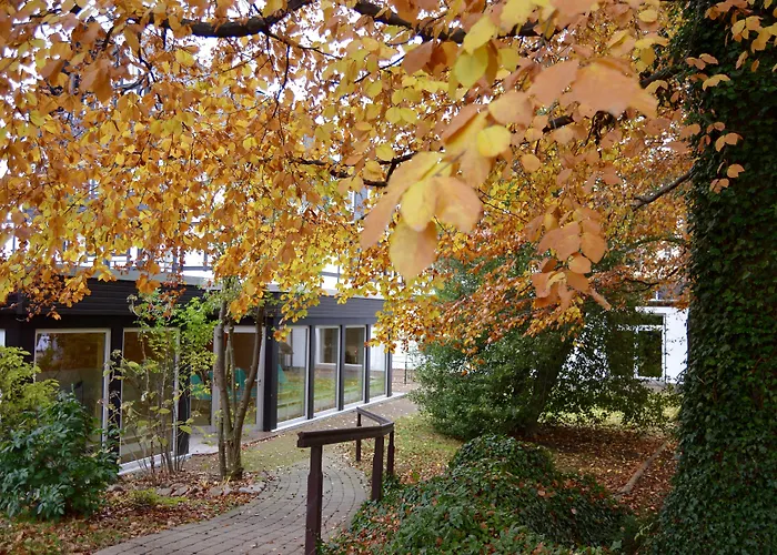 Best 16 Spa Hotels in Bad Harzburg for a Relaxing Getaway