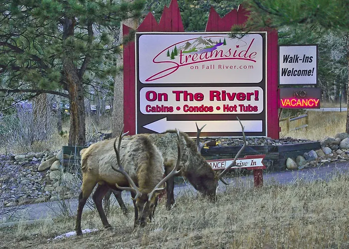 Streamside On Fall River