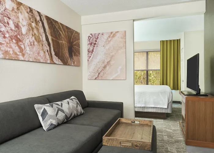 Springhill Suites Asheville