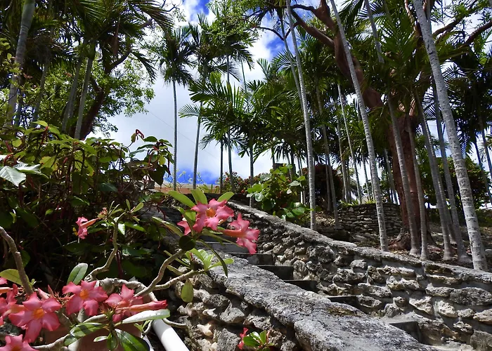 Orange Hill Beach Inn