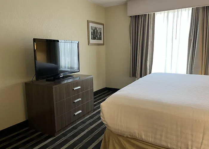 Forest Park Hotels