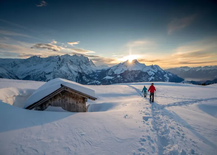 Meiringen Hotels