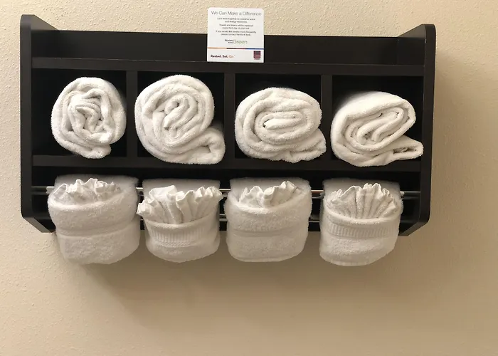 Comfort Suites Stevensville - St Joseph