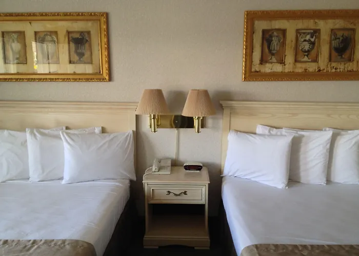 Best 6 Spa Hotels in Boyne Falls for a Relaxing Getaway