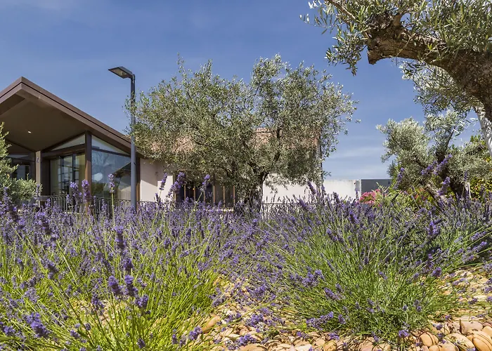 Terre de Provence Hôtel&Spa Le Pontet 