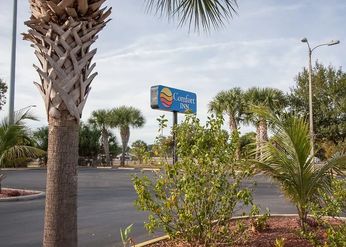 Comfort Inn St Petersburg North