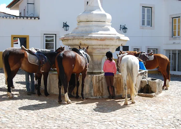 Hotel Rural Quinta De Santo Antonio Elvas