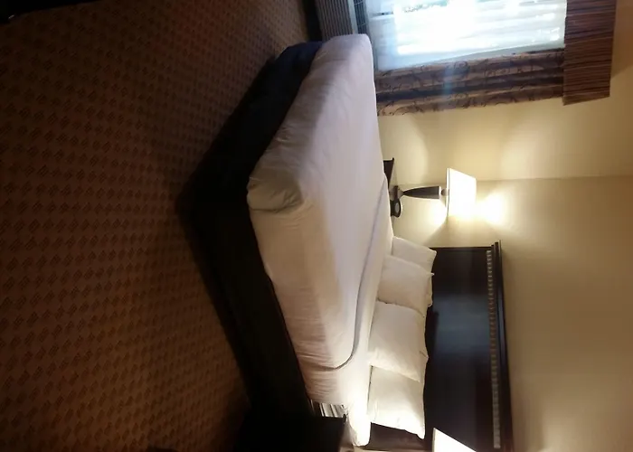 Comfort Suites Houston Iah Airport - Beltway 8 Aldine