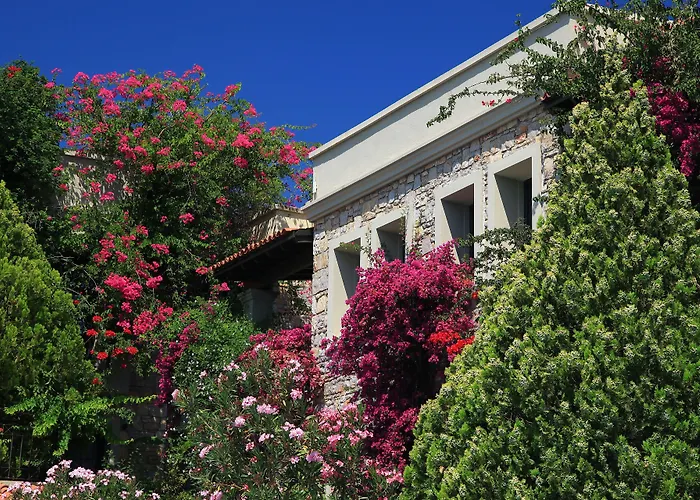 Zeytinada Hotel Torba