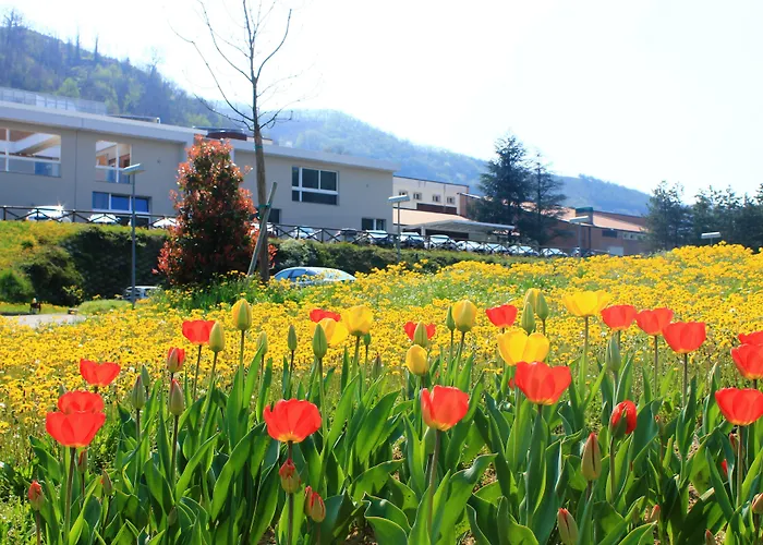 Admiral Park Hotel By Falco D'Oro Hotels Zola Predosa