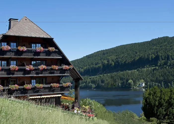 Hinterzarten Hotels