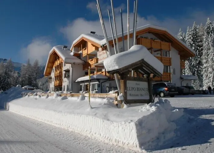 Wellness Hotel Lupo Bianco Canazei