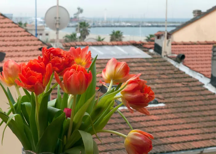 Hotel Dolly Viareggio