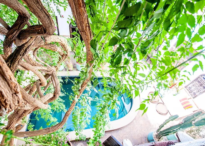 Hotel & Spa Riad Dar El Aila