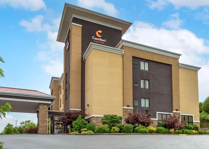 Comfort Suites Kingsport South