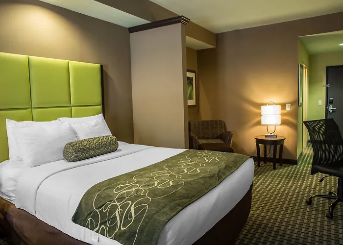 Comfort Suites New Bern Near Cherry Point