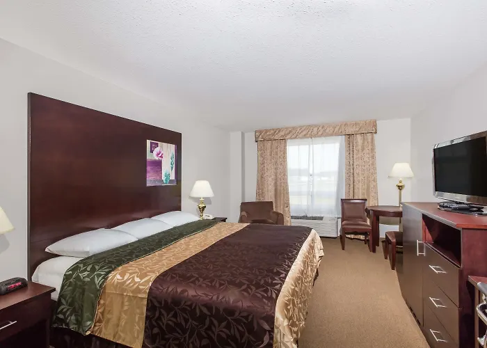 Innisfail Hotels