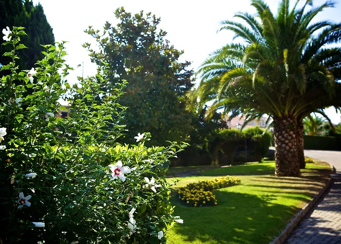 Hotel Sj Tondela