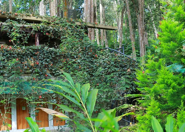 Greenspaces B&B
