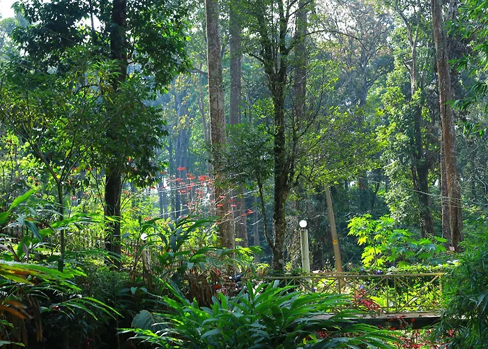 Greenspaces B&B Munnar