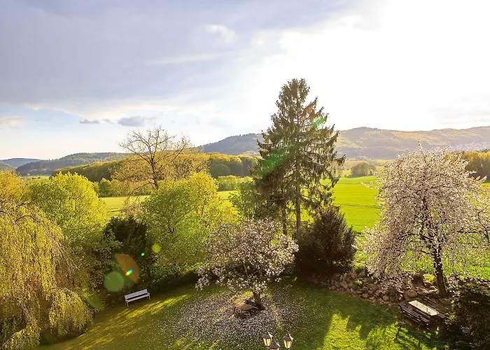 Kelkheim Hotels