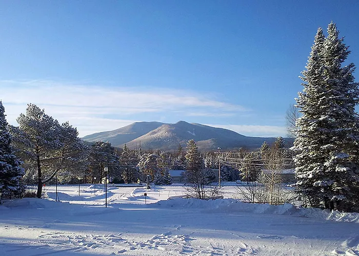 Twin Mountain Hotels