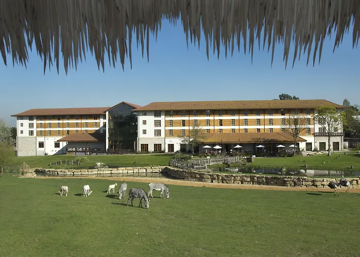Chessington Hotels