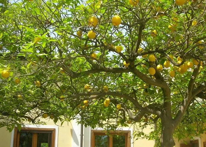 B&B La Chora Di Paestum
