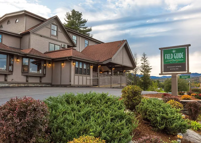 Field Guide Lodge Stowe