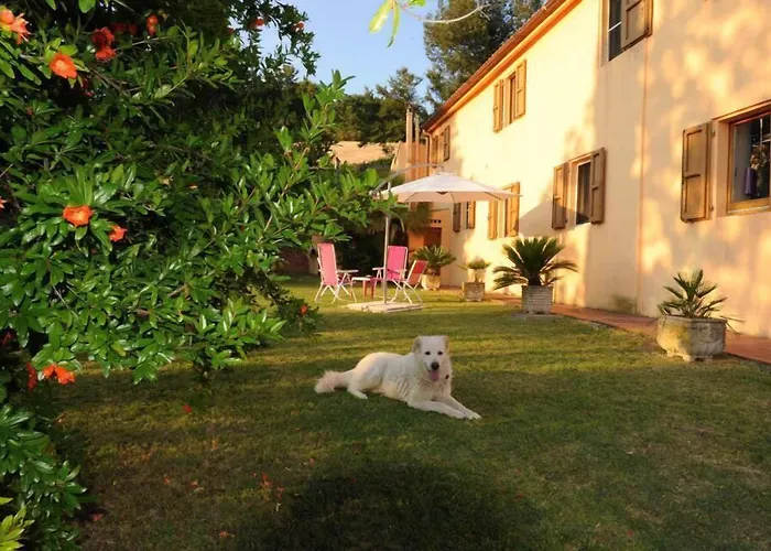 B&B Glicine Ancona