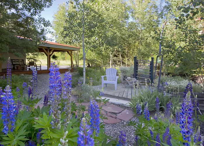 Mariposa Lodge Bed And Breakfast Steamboat Springs