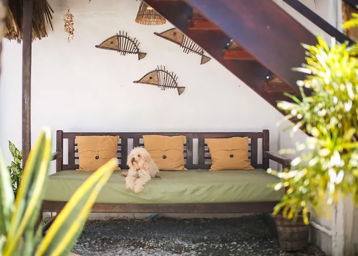 Mandala Hostel Jeri Jijoca de Jericoacoara