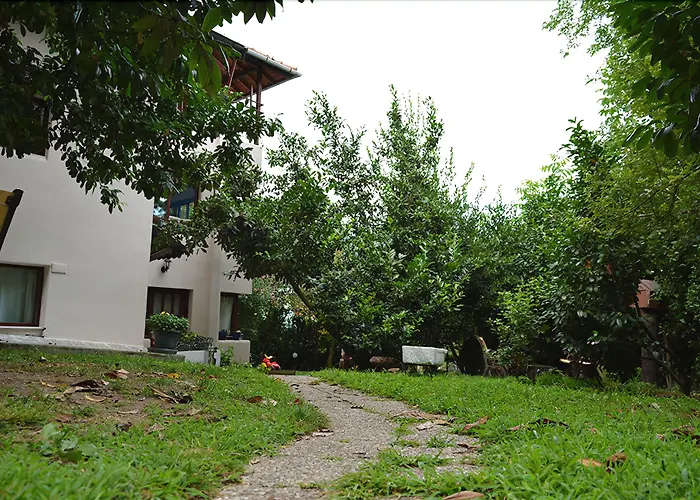 Masukiye Hotels