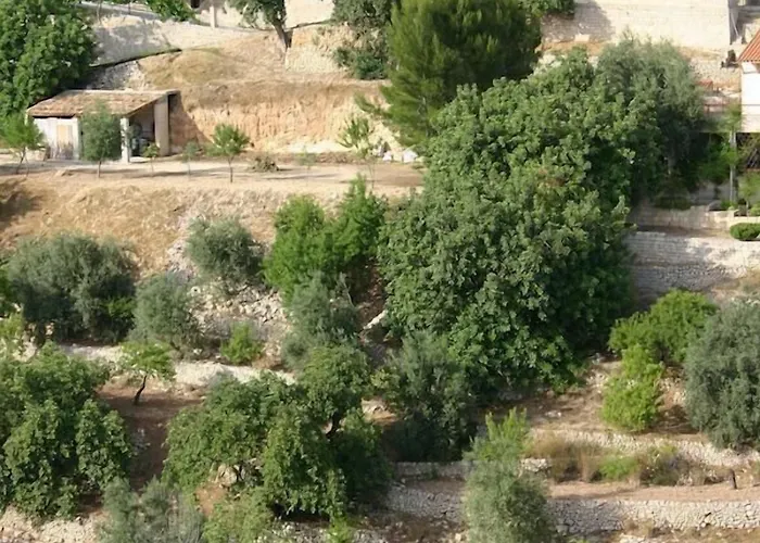 Bed and Breakfast La Suma Sumalia San Corrado di Fuori